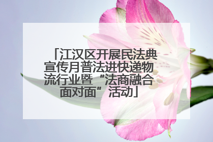 江汉区开展民法典宣传月普法进快递物流行业暨“法商融合面对面”活动