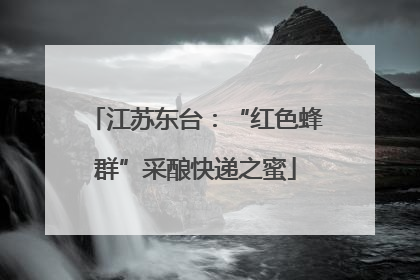 江苏东台：“红色蜂群”采酿快递之蜜