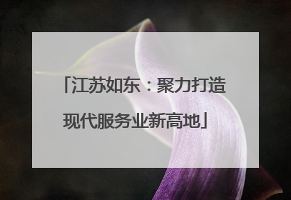 江苏如东：聚力打造现代服务业新高地