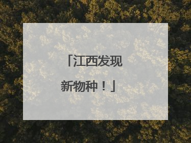 江西发现新物种！