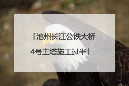 池州长江公铁大桥4号主塔施工过半
