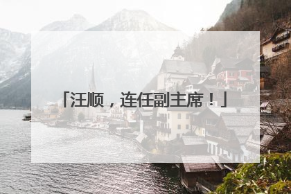 汪顺，连任副主席！