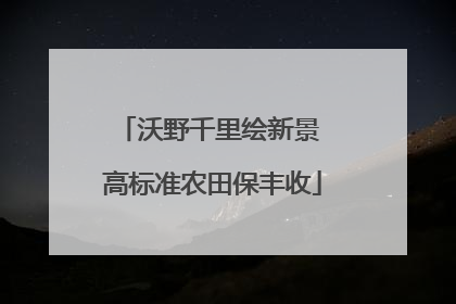 沃野千里绘新景 高标准农田保丰收