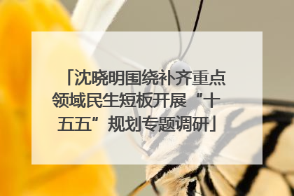 沈晓明围绕补齐重点领域民生短板开展“十五五”规划专题调研