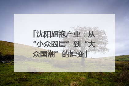 沈阳旗袍产业：从“小众圈层”到“大众国潮”的嬗变