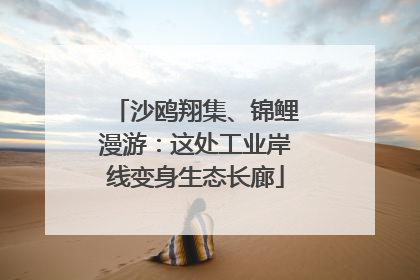 沙鸥翔集、锦鲤漫游：这处工业岸线变身生态长廊