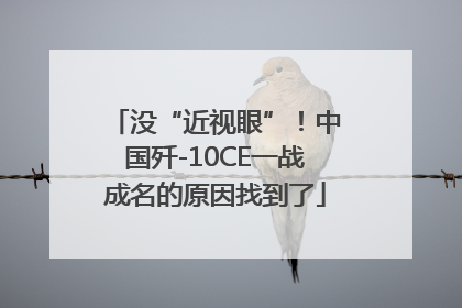 没“近视眼”！中国歼-10CE一战成名的原因找到了