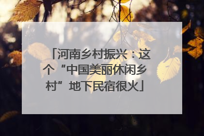 河南乡村振兴：这个“中国美丽休闲乡村”地下民宿很火