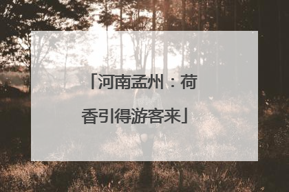 河南孟州：荷香引得游客来