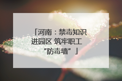 河南：禁毒知识进园区 筑牢职工“防毒墙”