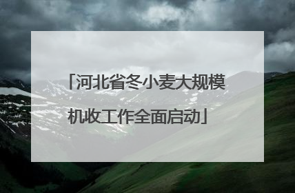 河北省冬小麦大规模机收工作全面启动