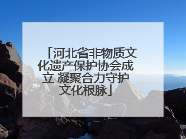 河北省非物质文化遗产保护协会成立 凝聚合力守护文化根脉