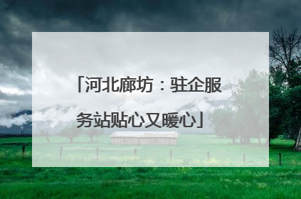 河北廊坊：驻企服务站贴心又暖心