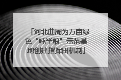 河北曲周为万亩绿色“吨半粮”示范基地创建指挥田机制