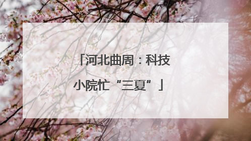 河北曲周：科技小院忙“三夏”