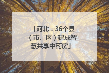 河北：36个县（市、区）建成智慧共享中药房