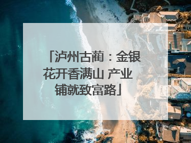 泸州古蔺：金银花开香满山 产业铺就致富路