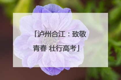 泸州合江：致敬青春 壮行高考