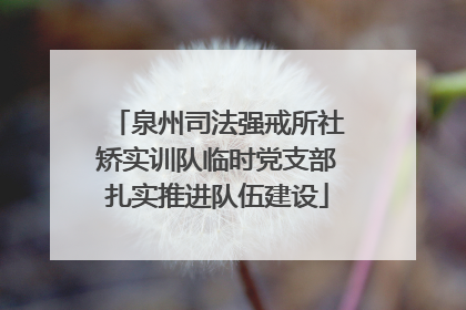 泉州司法强戒所社矫实训队临时党支部扎实推进队伍建设