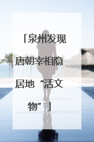 泉州发现唐朝宰相隐居地“活文物”
