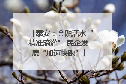 泰安：金融活水“精准滴灌” 民企发展“加速快跑”
