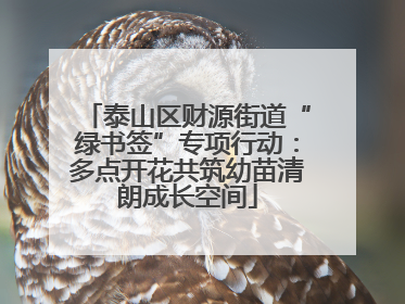泰山区财源街道“绿书签”专项行动：多点开花共筑幼苗清朗成长空间