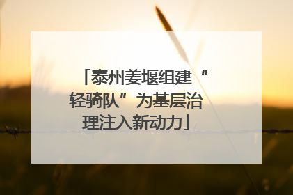 泰州姜堰组建“轻骑队”为基层治理注入新动力