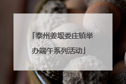 泰州姜堰娄庄镇举办端午系列活动
