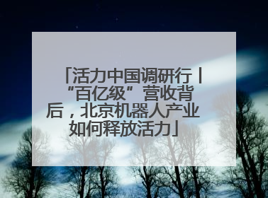 活力中国调研行丨 “百亿级”营收背后，北京机器人产业如何释放活力