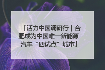 活力中国调研行｜合肥成为中国唯一新能源汽车“四试点”城市
