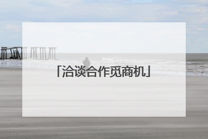 洽谈合作觅商机