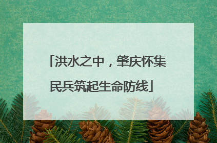 洪水之中，肇庆怀集民兵筑起生命防线