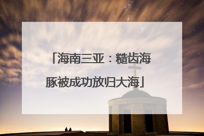 海南三亚：糙齿海豚被成功放归大海