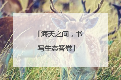 海天之间，书写生态答卷