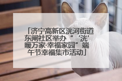 济宁高新区洸河街道东闸社区举办“‘洸’暖万家·幸福家园”端午节幸福集市活动