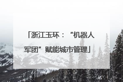浙江玉环：“机器人军团”赋能城市管理