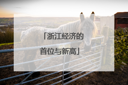 浙江经济的首位与新高