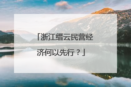 浙江缙云民营经济何以先行？