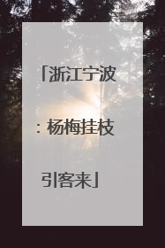 浙江宁波：杨梅挂枝引客来