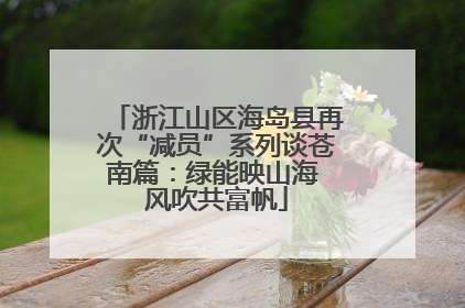 浙江山区海岛县再次“减员”系列谈苍南篇：绿能映山海 风吹共富帆