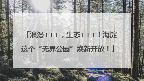 浪漫+++，生态+++！海淀这个“无界公园”焕新开放！