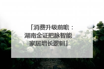 消费升级前瞻：湖南金证把脉智能家居增长逻辑