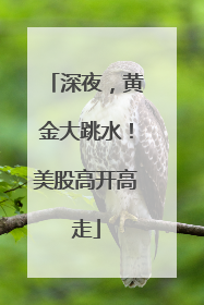 深夜，黄金大跳水！美股高开高走