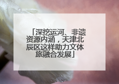 深挖运河、非遗资源内涵，天津北辰区这样助力文体旅融合发展