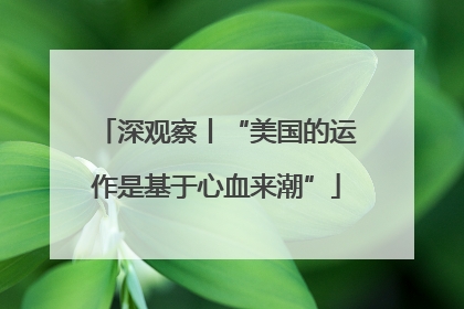 深观察丨“美国的运作是基于心血来潮”