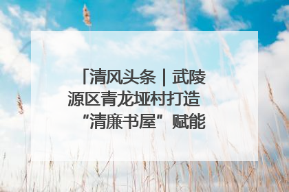 清风头条｜武陵源区青龙垭村打造“清廉书屋”赋能乡村振兴新风尚