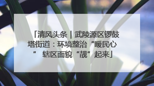 清风头条｜武陵源区锣鼓塔街道：环境整治“暖民心” 辖区面貌“靓”起来