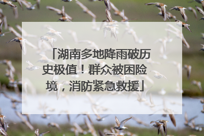 湖南多地降雨破历史极值！群众被困险境，消防紧急救援