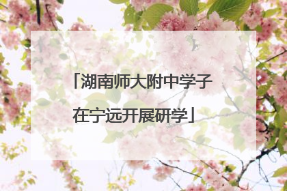 湖南师大附中学子在宁远开展研学