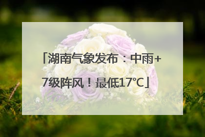 湖南气象发布：中雨+7级阵风！最低17℃